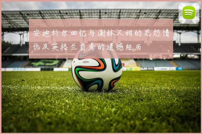 安迪科尔回忆与谢林汉姆的恩怨情仇及英格兰首秀的遗憾经历