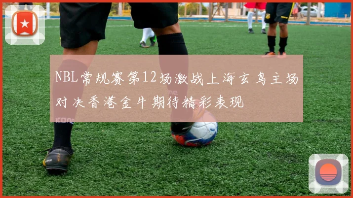 NBL常规赛第12场激战上海玄鸟主场对决香港金牛期待精彩表现