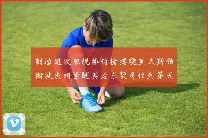 制造进攻犯规排行榜揭晓里夫斯领衔波杰姆紧随其后东契奇位列第五