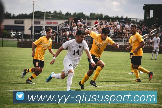 球速体育平台生态图