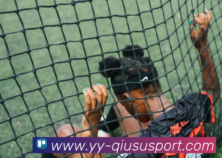 球速体育APP 封面图